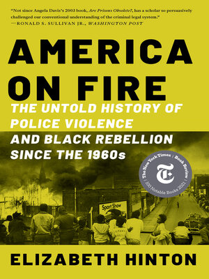 cover image of America on Fire